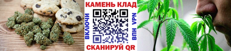 Купить где  Няндома  Canna-Cookies конопля 